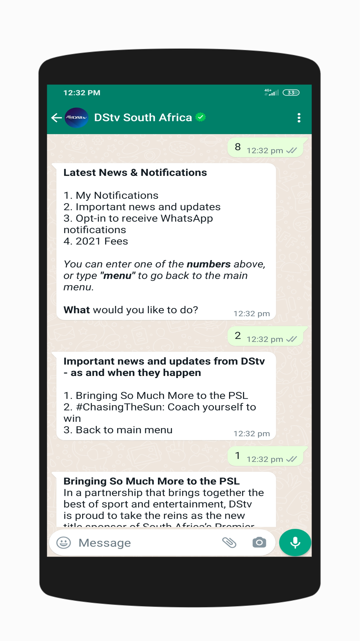 Screenshot View