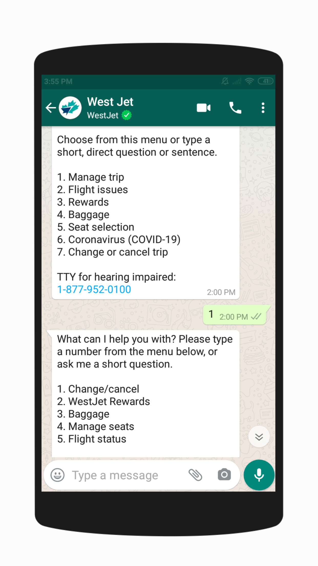Screenshot View