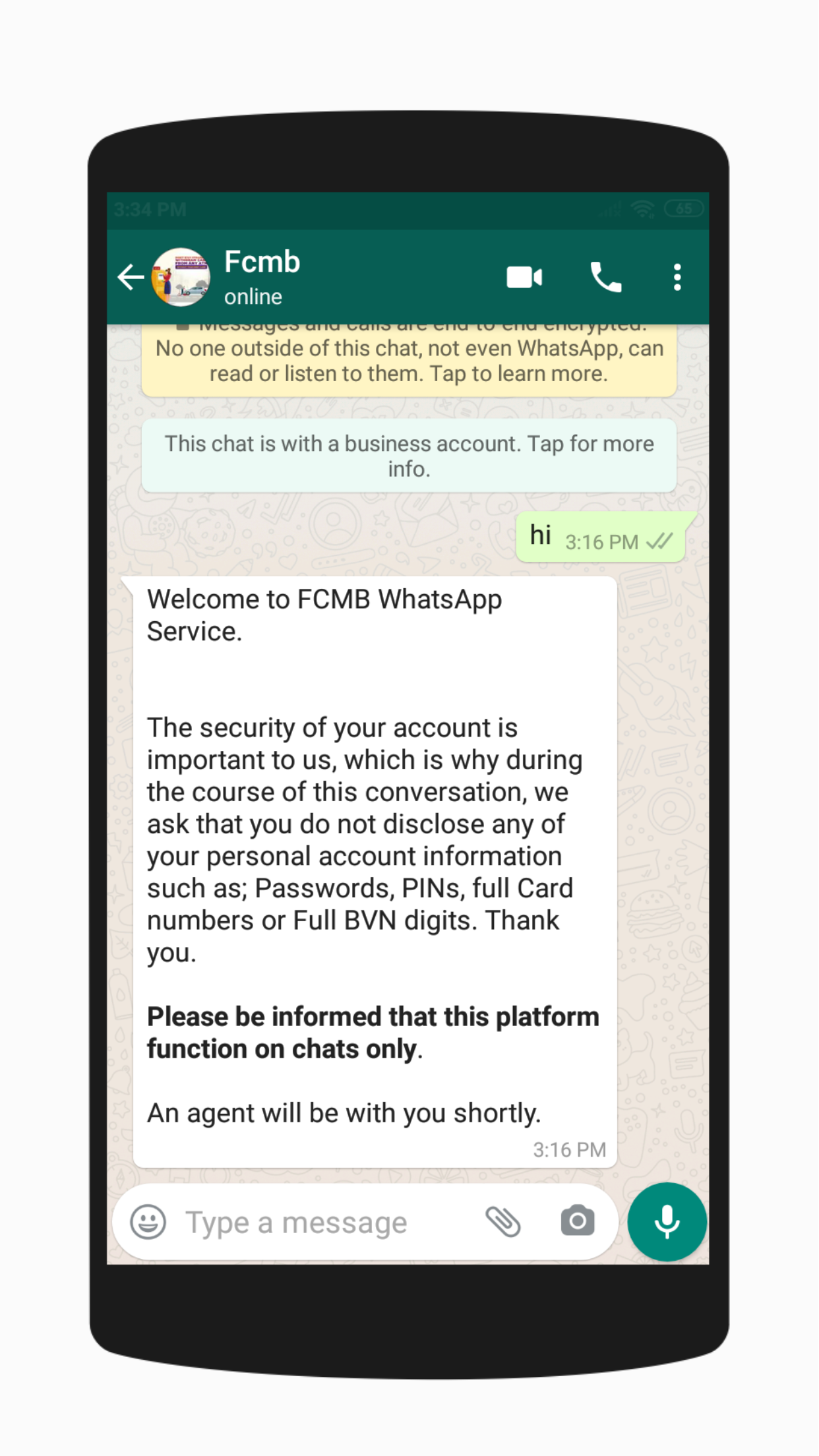 Screenshot View